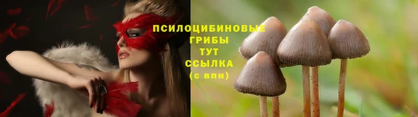 не бодяженный Абаза