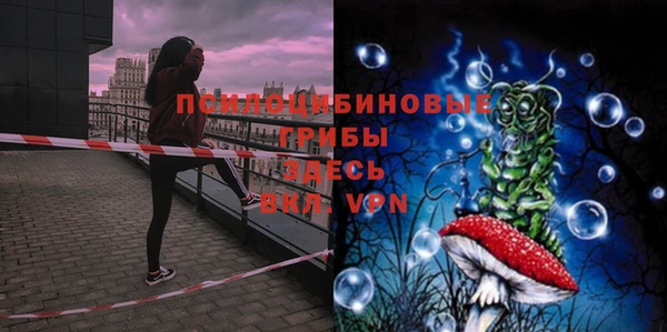 не бодяженный Абаза