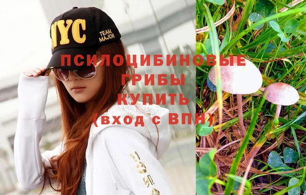 каннабис Абинск