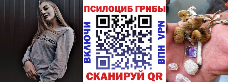 Галлюциногенные грибы GOLDEN TEACHER MEGA онион Вилючинск